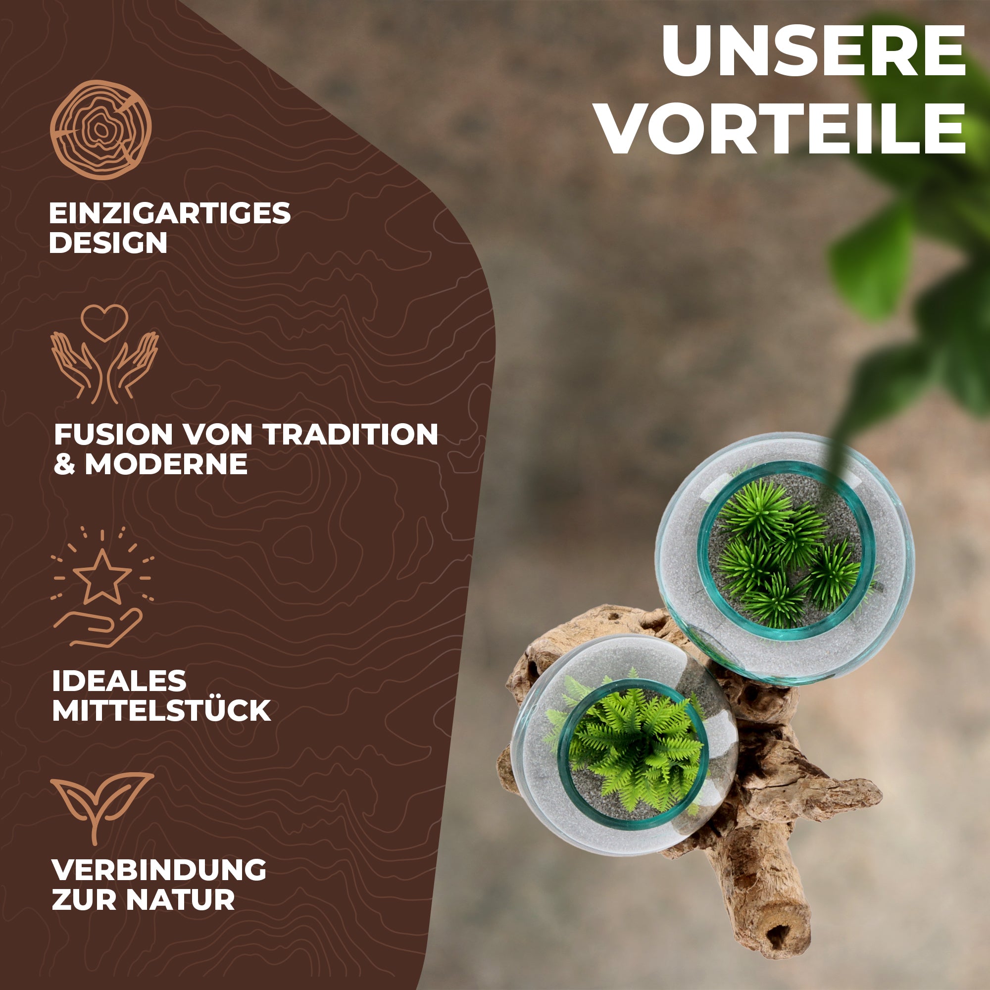Handgefertigte Deko-Vase Glas auf Wurzelholz – Aufrechte Natur-Skulptur mit zwei Glaskugeln