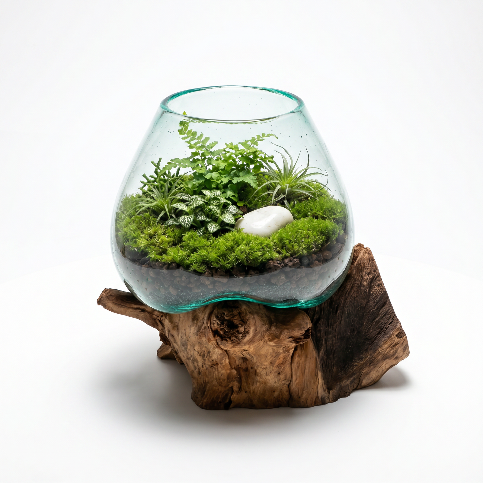 Großes Windlicht Glas auf Wurzelholz als bepflanztes Terrarium