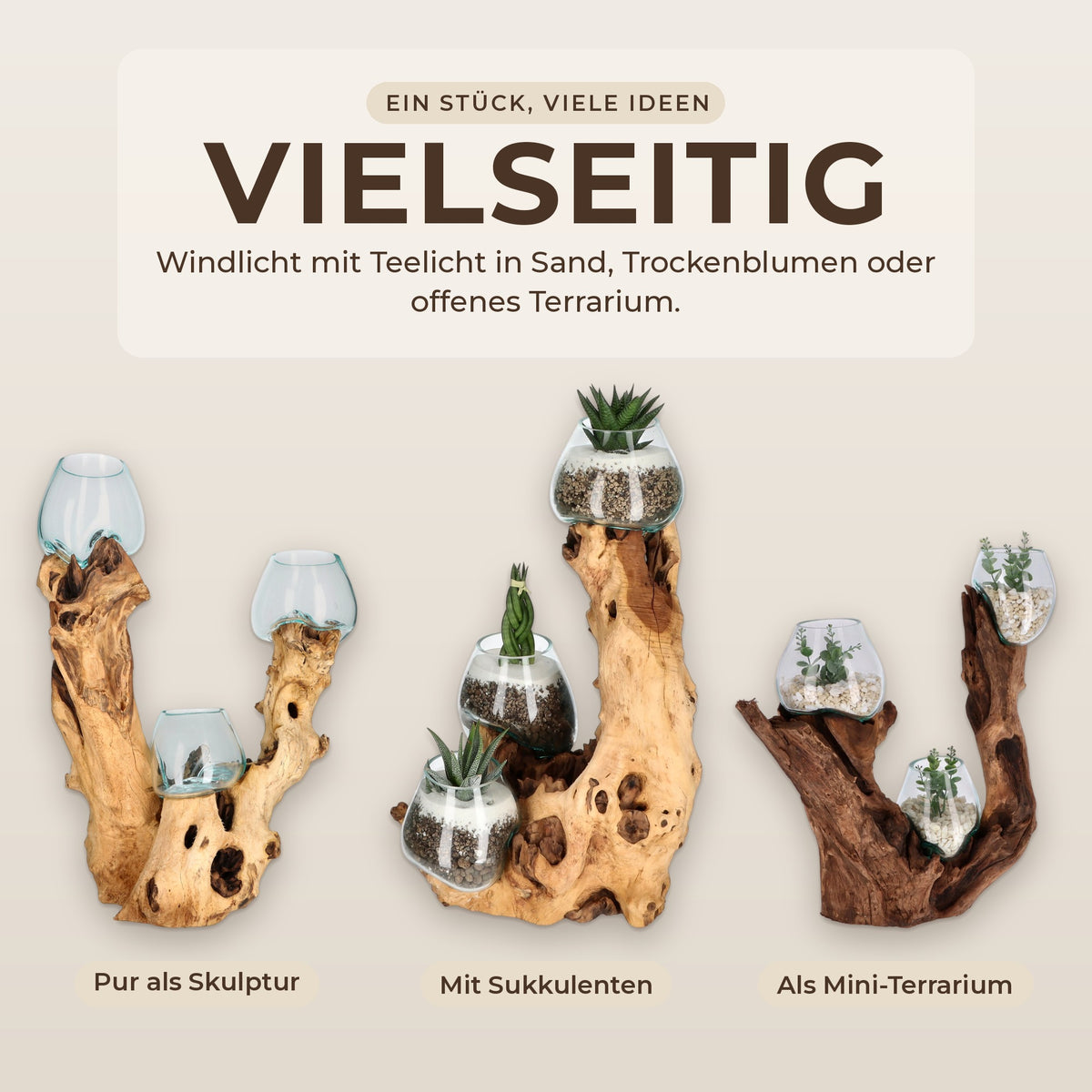 Drei Nutzungsarten nebeneinander: pur als Skulptur, mit Sukkulenten bepflanzt und als Mini-Terrarium