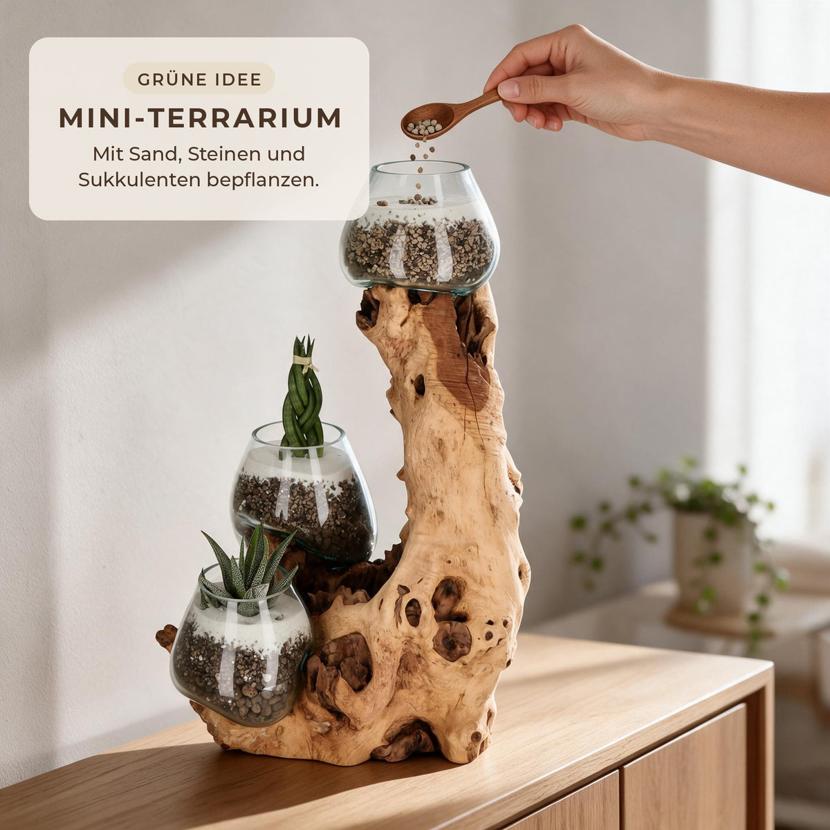 Hand streut Steine in ein Glas der Wurzelholz-Skulptur, die anderen Gläser sind mit Sukkulenten bepflanzt