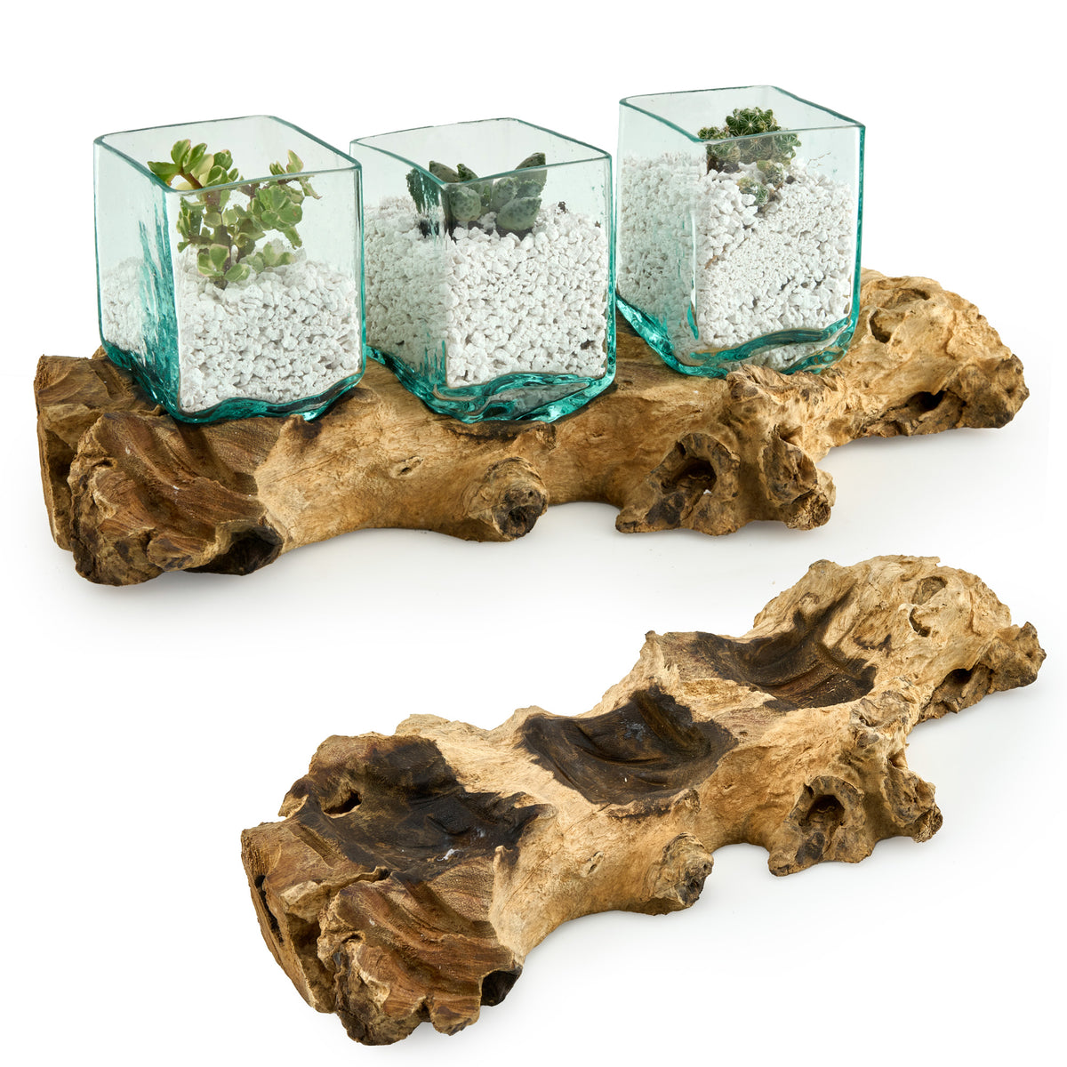 Pflanzgefäß-Set aus eckigem Glas auf Wurzelholz, handgefertigt, Frontansicht