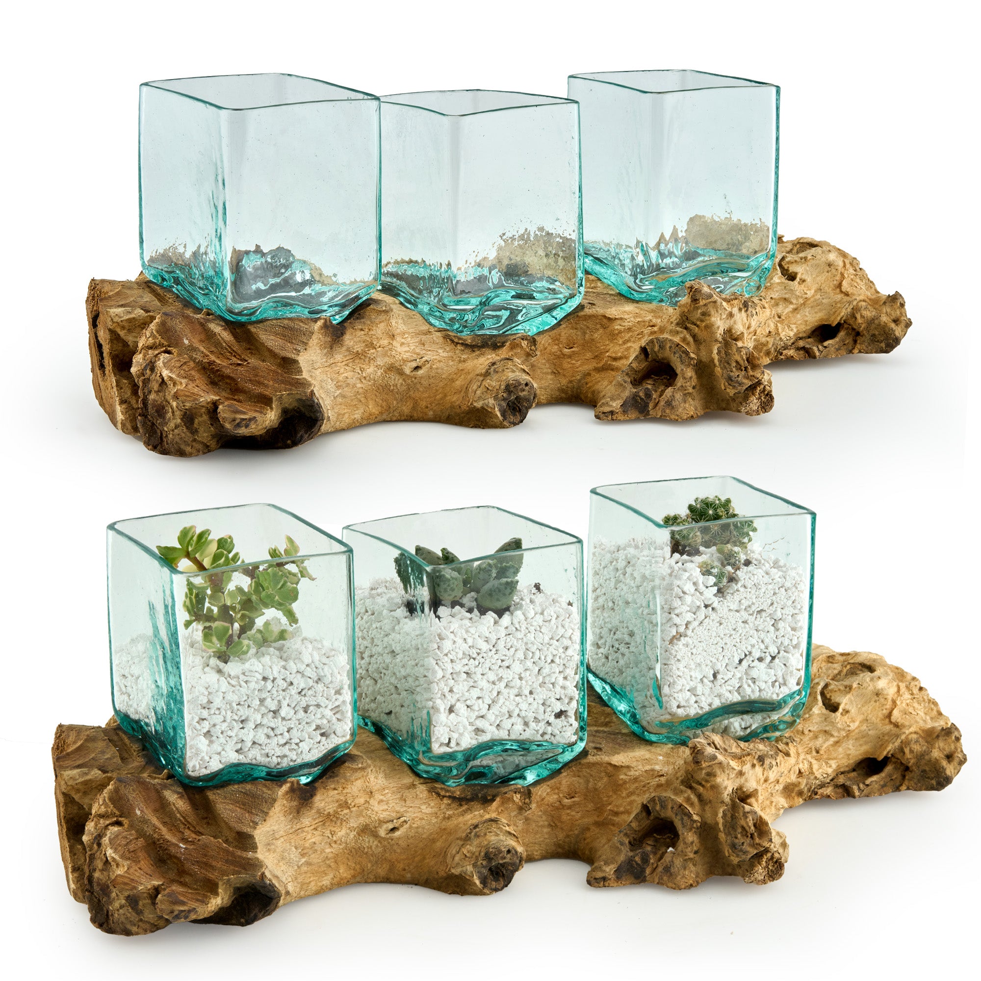 Handgefertigtes Pflanzgefäß-Set aus eckigem Glas und Wurzelholz