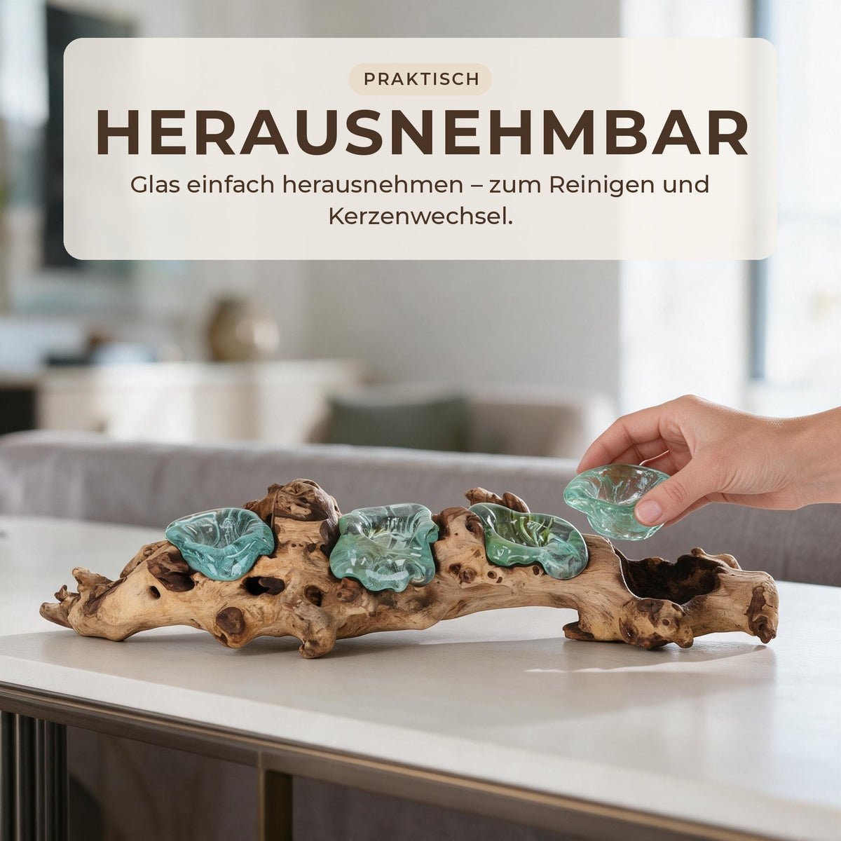Glas herausnehmbar: Hand hebt eine der vier Glasmulden aus dem Wurzelholz
