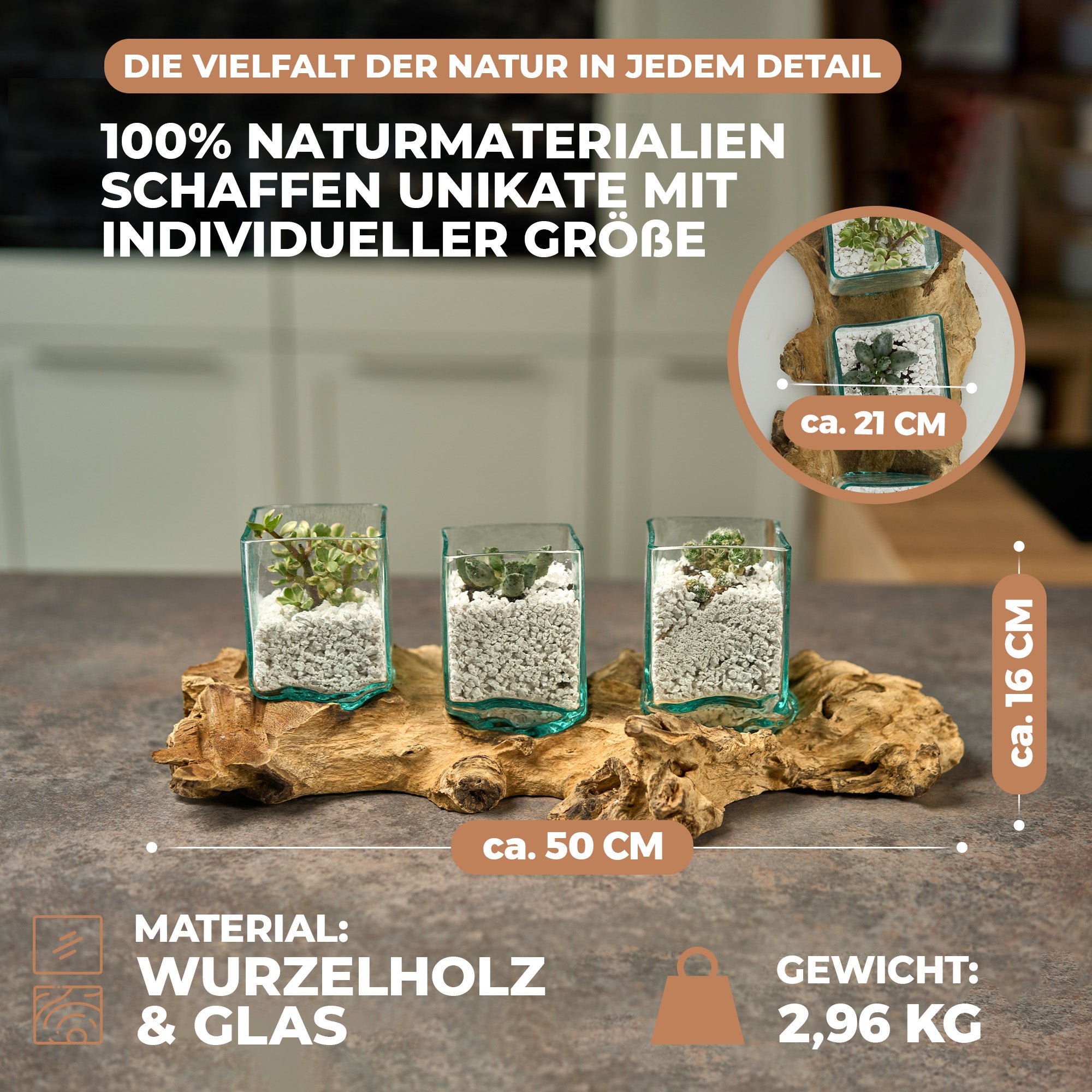 Handgefertigtes Pflanzgefäß-Set aus eckigem Glas und Wurzelholz