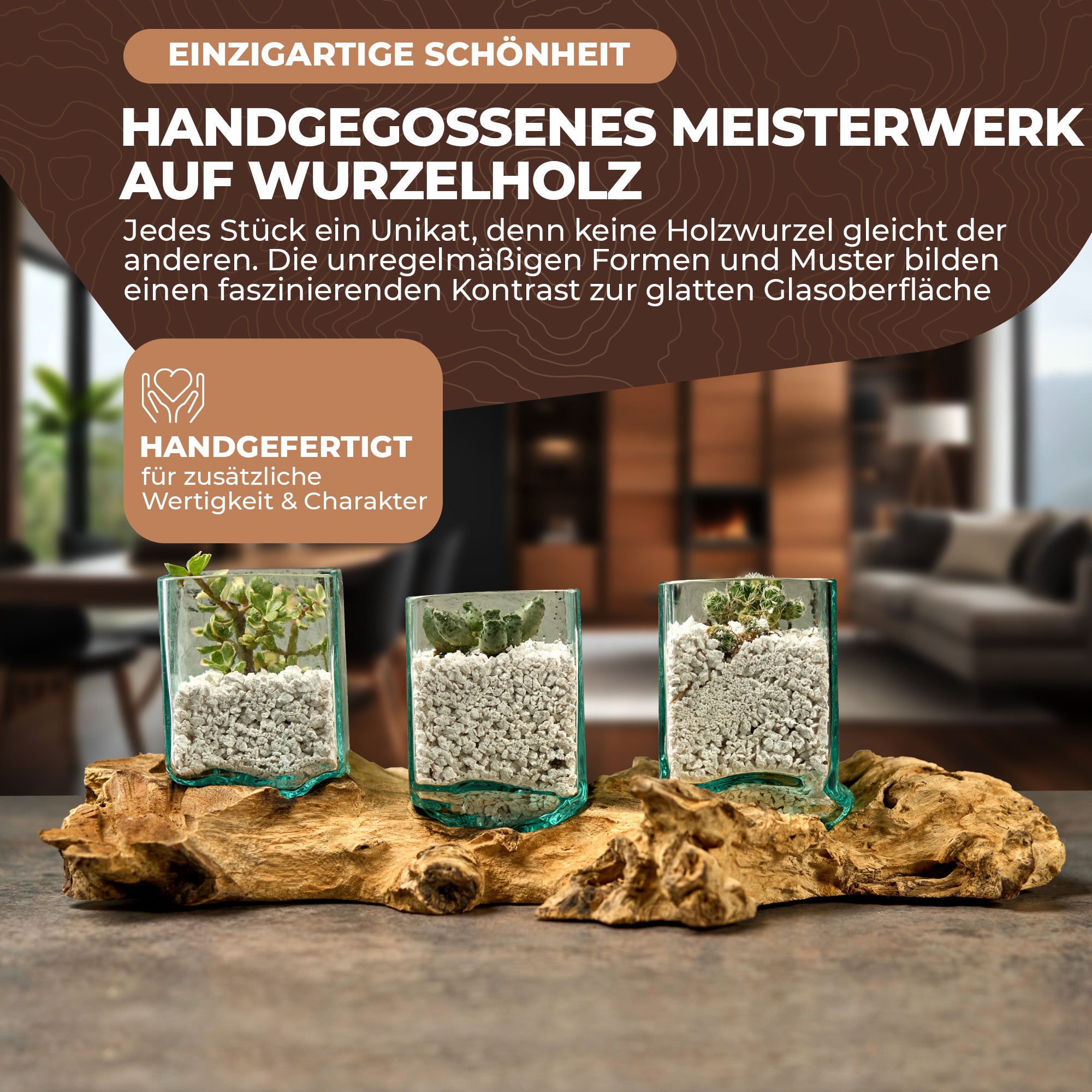 Handgefertigtes Pflanzgefäß-Set aus eckigem Glas und Wurzelholz