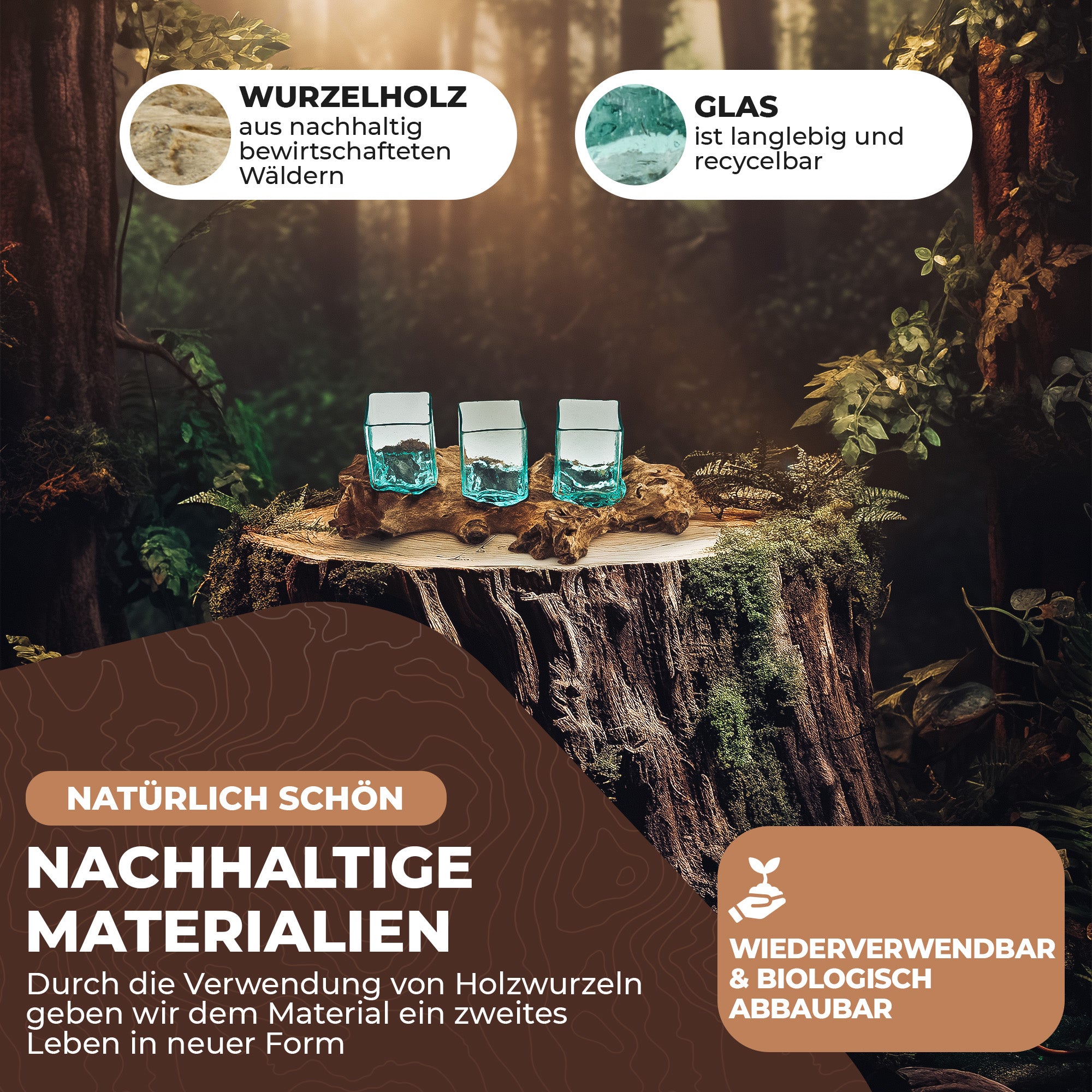 Handgefertigtes Pflanzgefäß-Set aus eckigem Glas und Wurzelholz