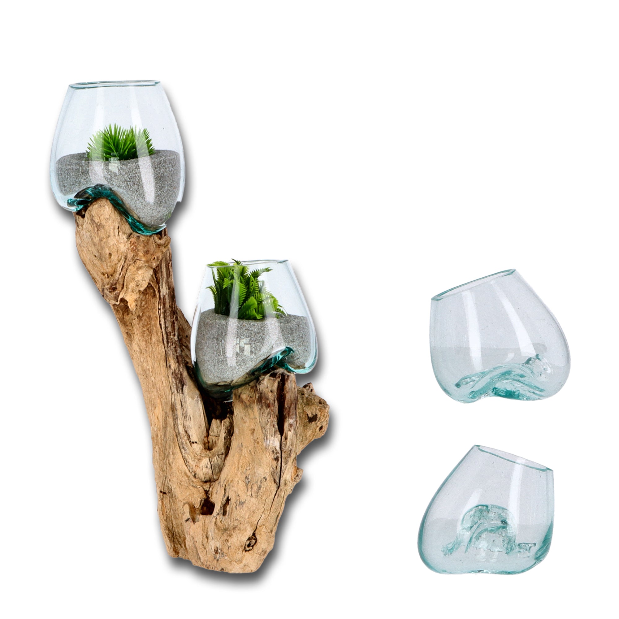 Handgefertigte Deko-Vase Glas auf Wurzelholz – Aufrechte Natur-Skulptur mit zwei Glaskugeln