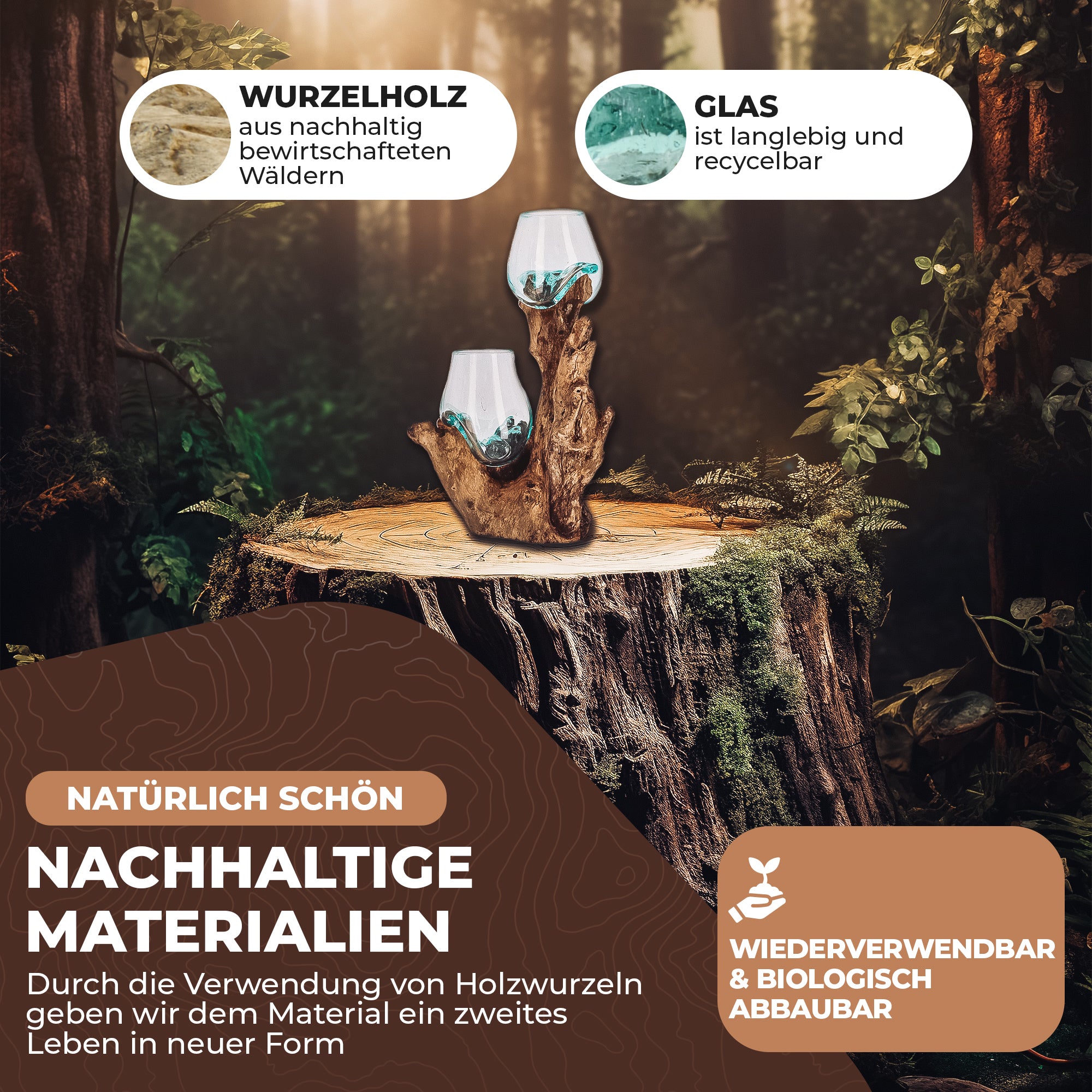 Handgefertigte Deko-Vase Glas auf Wurzelholz – Aufrechte Natur-Skulptur mit zwei Glaskugeln