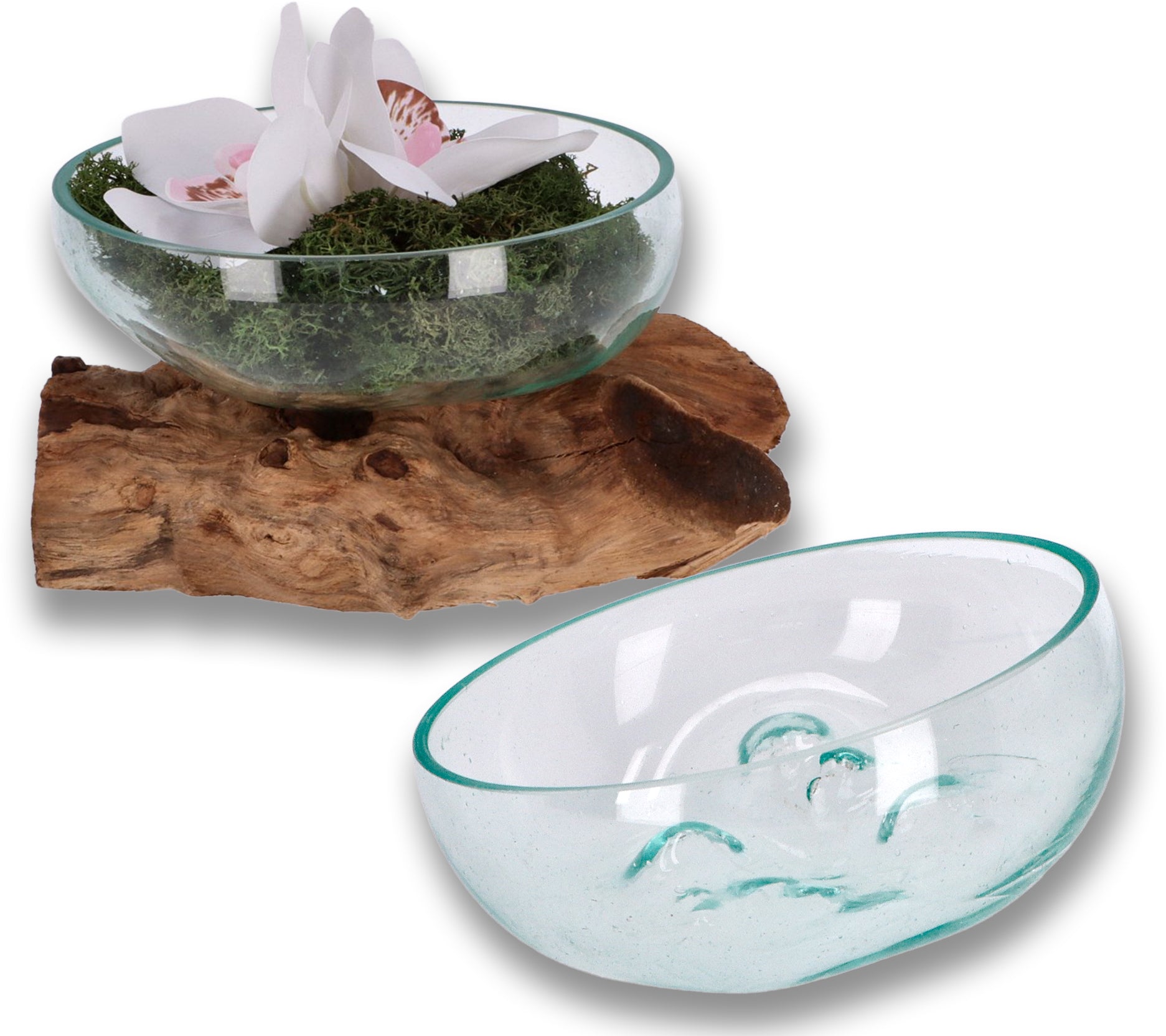 Flache Glas-Dekoschale auf Wurzelholz – Handgemachtes Unikat aus recyceltem Glas und naturbelassenem Holz