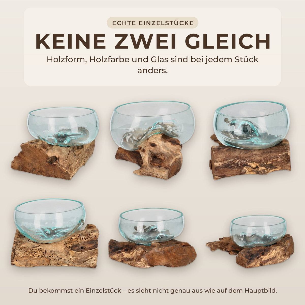 Sechs echte Einzelstücke der Glasschale auf Wurzelholz in heller, mittelbrauner und dunkler Holzfarbe
