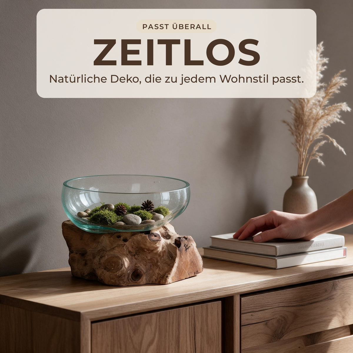 Glasschale auf Wurzelholz mit Moos und Zapfen auf einem hellen Sideboard im Japandi-Stil