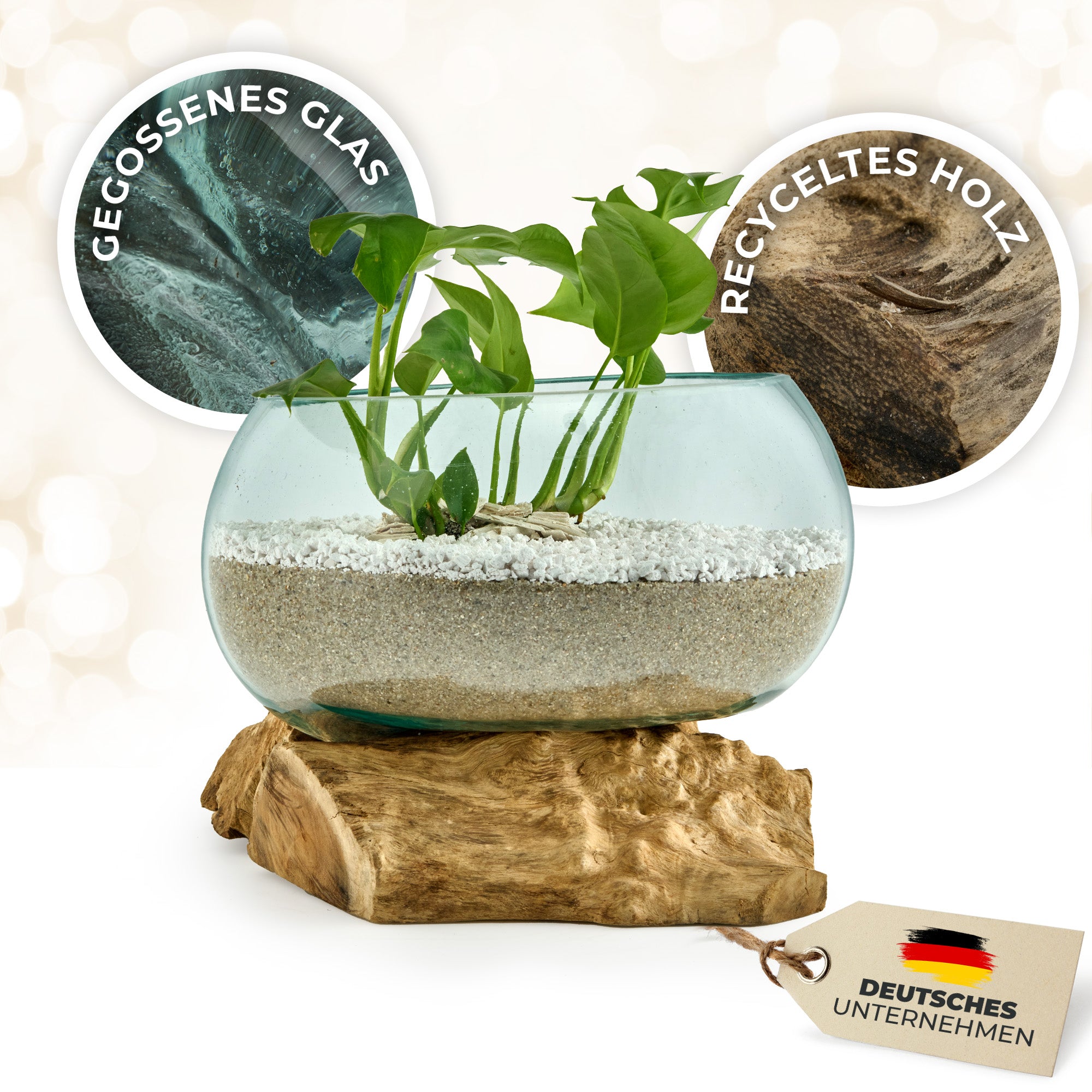 Große Glas-Dekoschale auf Wurzelholz – Handgefertigtes Unikat aus recyceltem Glas und Naturholz