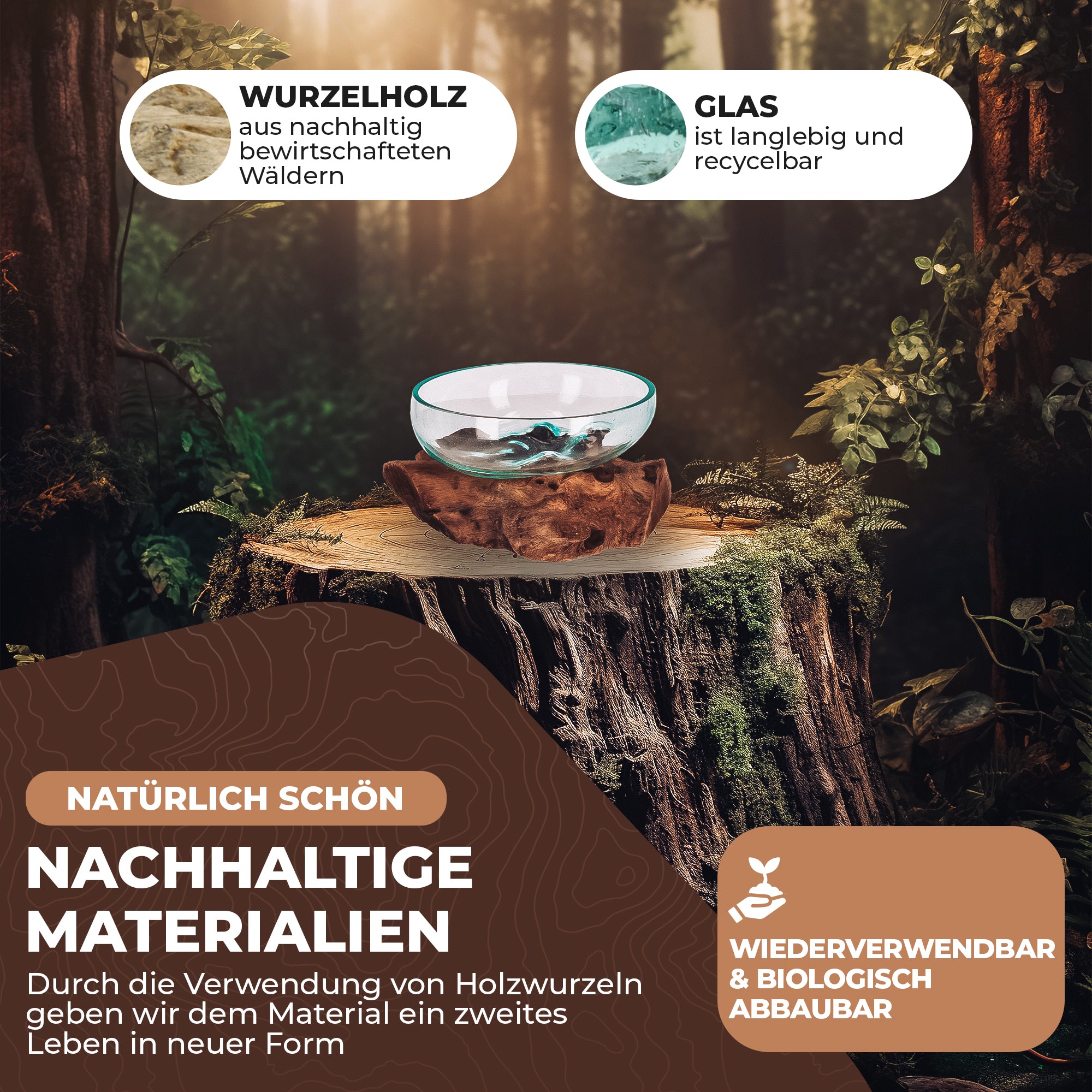 Flache Glas-Dekoschale auf Wurzelholz – Handgemachtes Unikat aus recyceltem Glas und naturbelassenem Holz