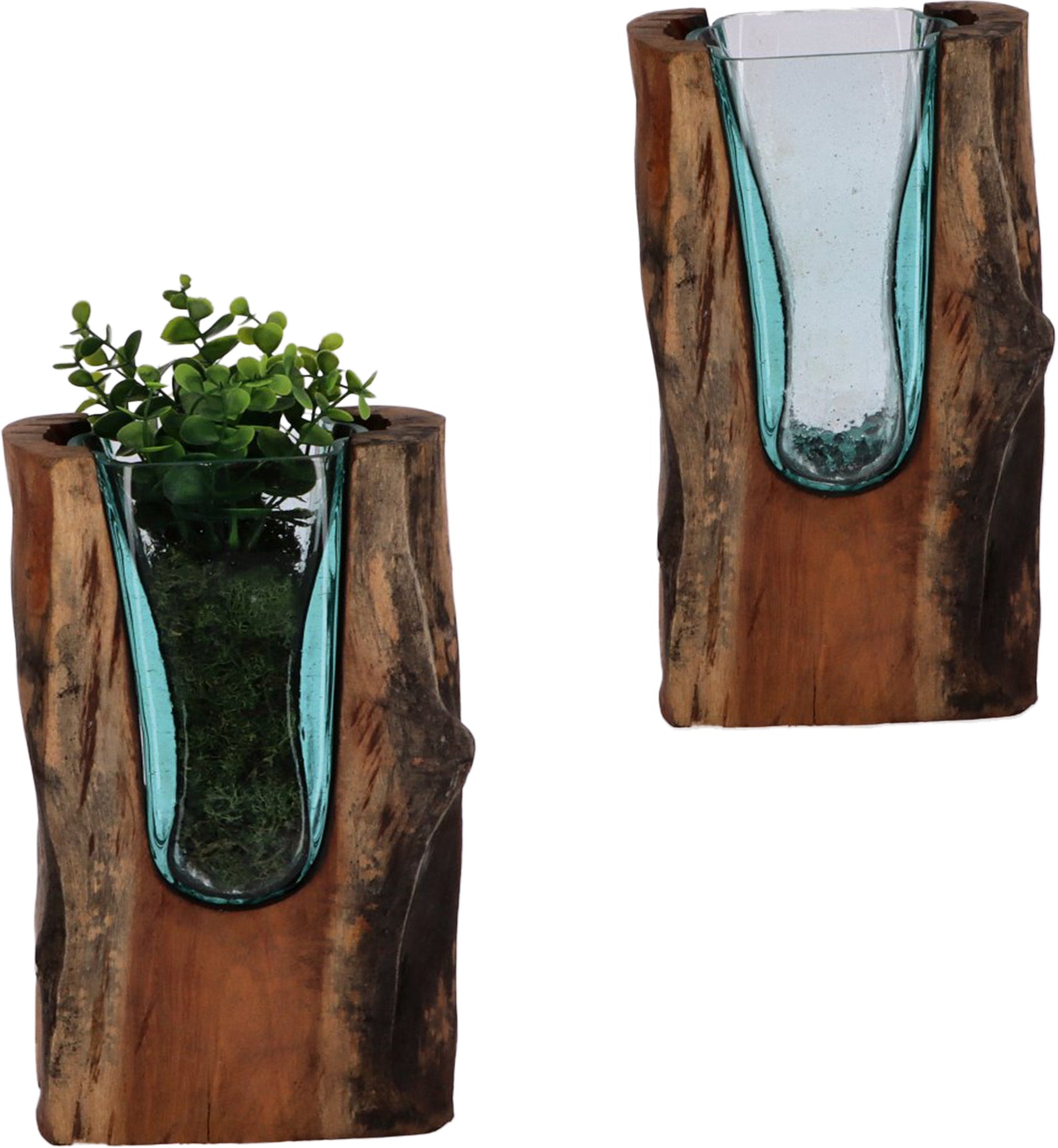 Designer-Vase aus Wurzelholz mit mundgeblasenem Glas – Handgefertigt und Nachhaltig U Vase (30cm)