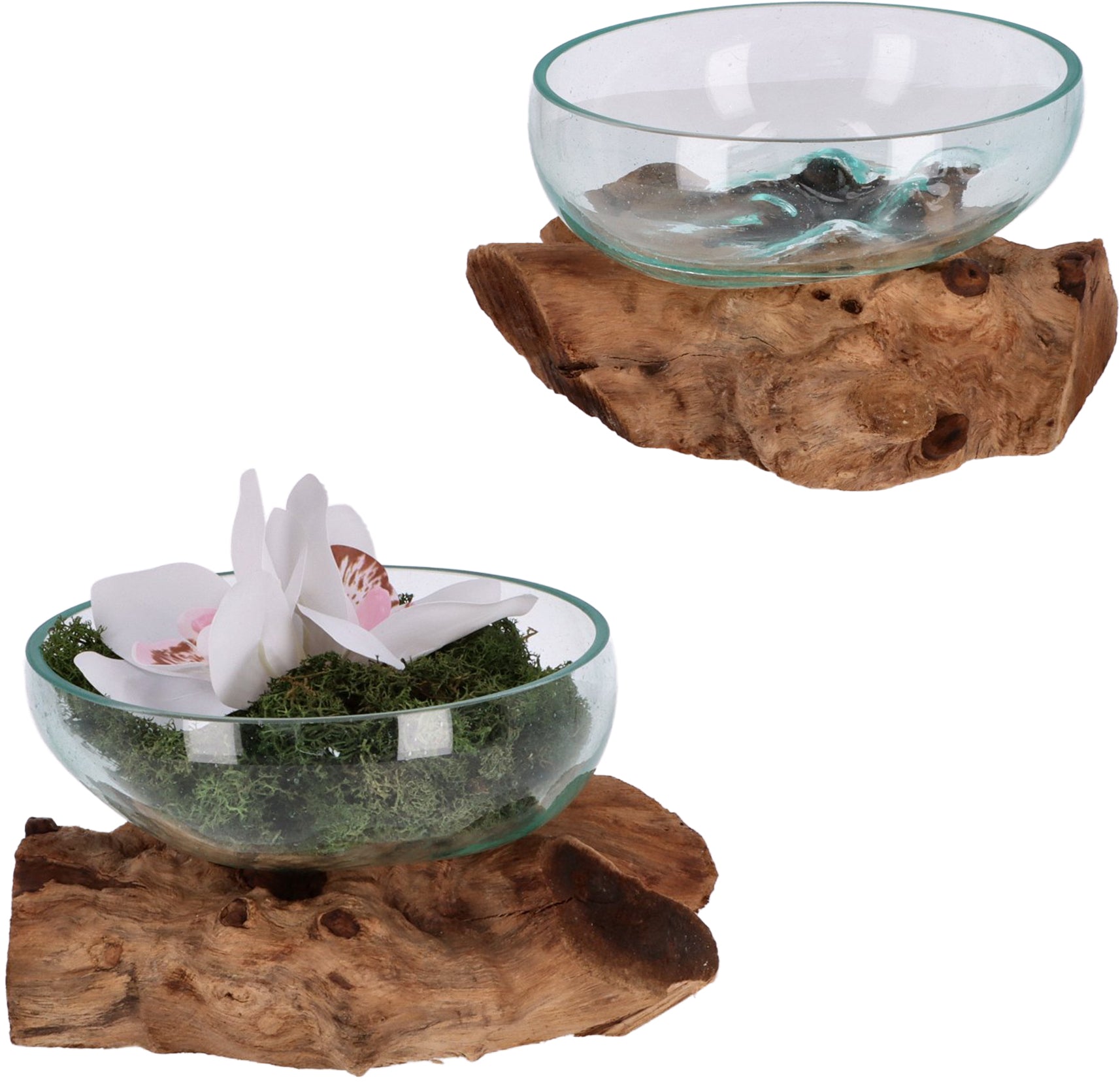 Flache Glas-Dekoschale auf Wurzelholz – Handgemachtes Unikat aus recyceltem Glas und naturbelassenem Holz