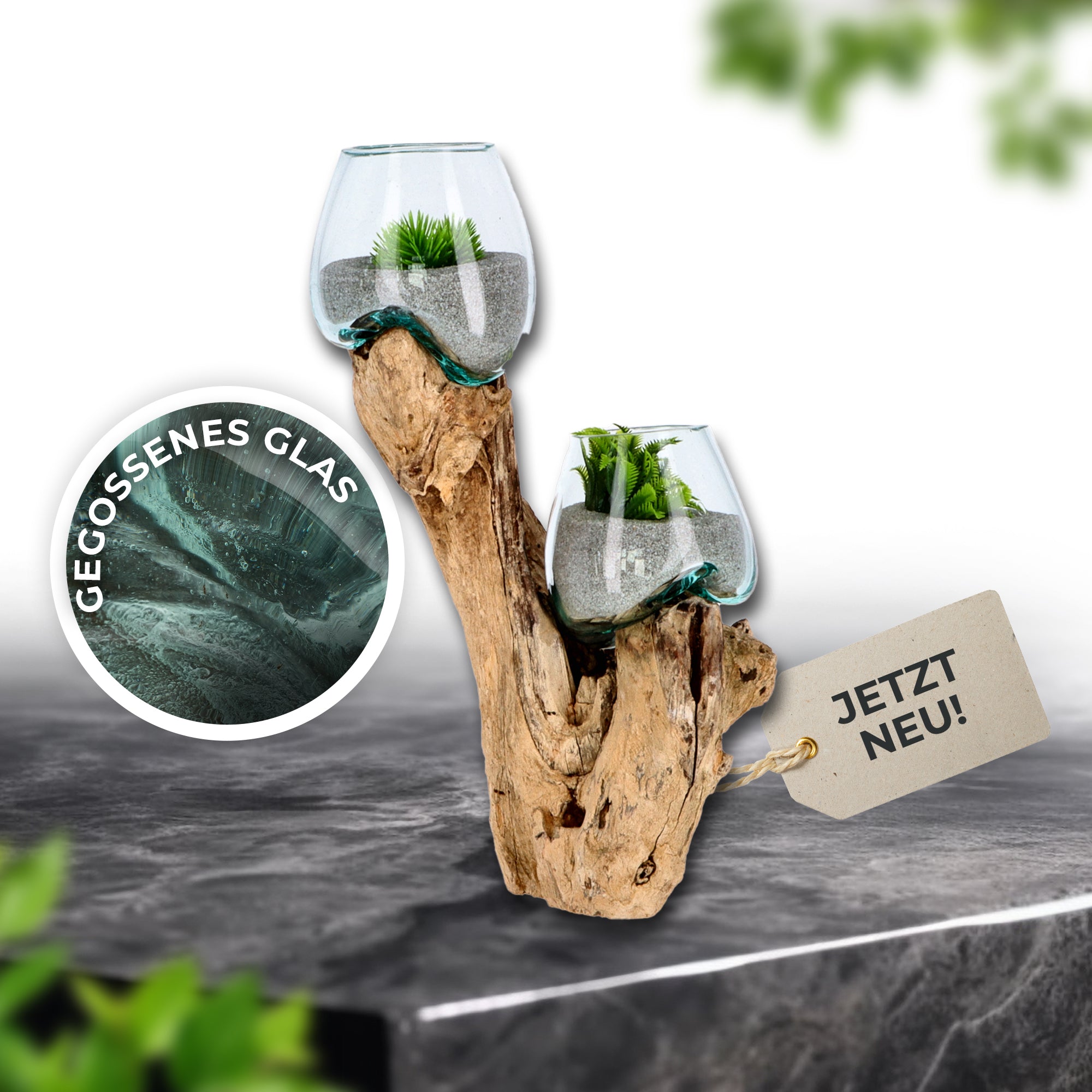Handgefertigte Deko-Vase Glas auf Wurzelholz – Aufrechte Natur-Skulptur mit zwei Glaskugeln