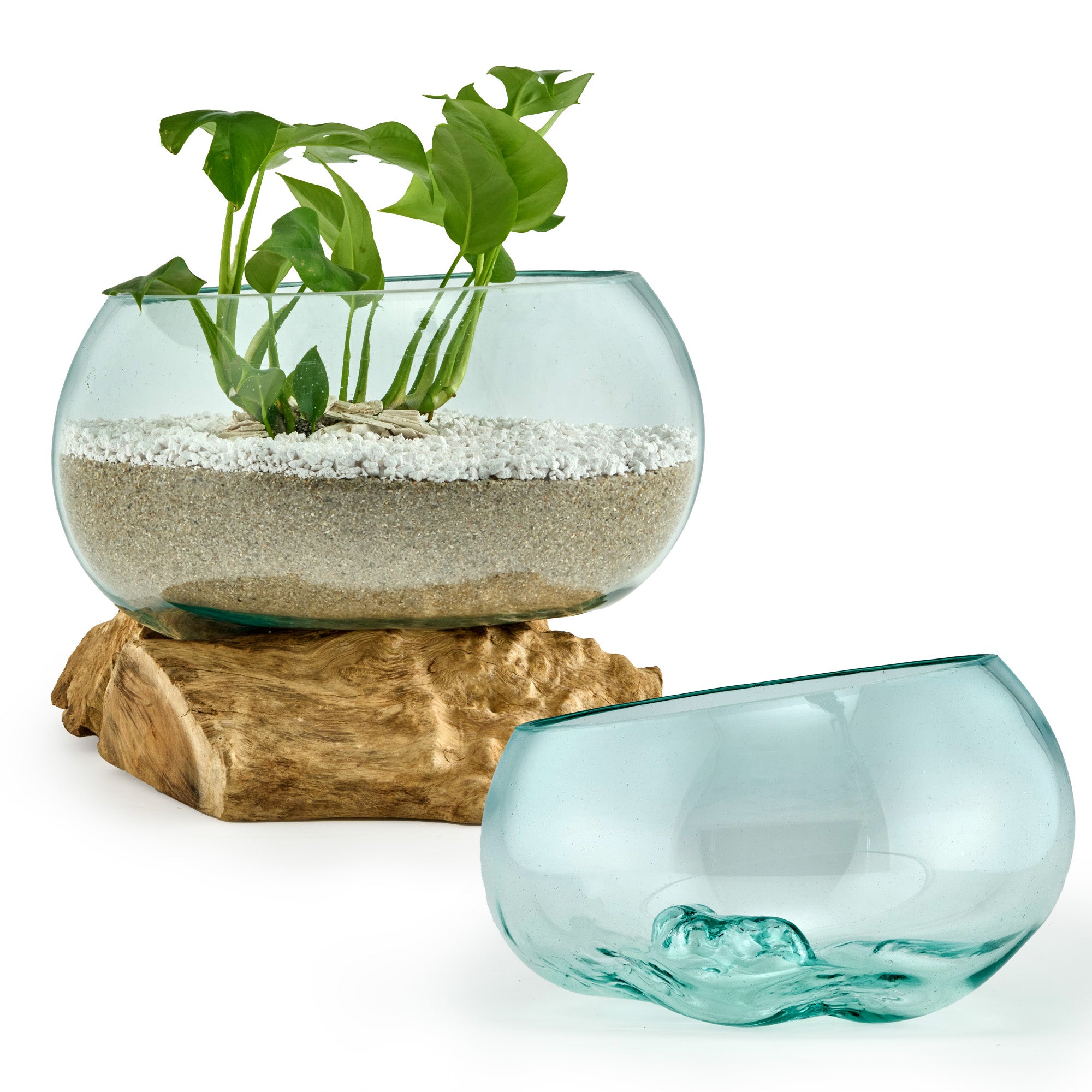 Große Glas-Dekoschale auf Wurzelholz – Handgefertigtes Unikat aus recyceltem Glas und Naturholz